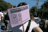 Lil�s: HomoParentalidade (Clube Safo)